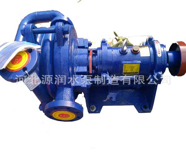30KW压滤机入料泵,65SYA35-30压滤机入料泵